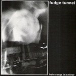 Fudge Tunnel, Hate Songs in E Minor mp3
