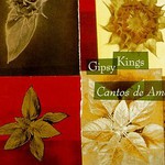 Gipsy Kings, Cantos de Amor