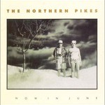 The Northern Pikes, Snow In June mp3