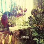 Serenades, Criminal Heaven mp3