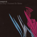 Honeycut, The Day I Turned to Glass mp3