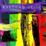 Caetano Veloso, Livro