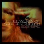 Babybird, The Pleasures Of Self Destruction