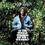 Cosmo Jarvis, Is The World Strange Or Am I Strange? mp3