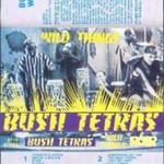 Bush Tetras, Wild Things