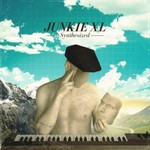 Junkie XL, Synthesized
