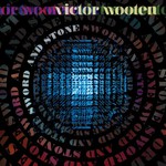 Victor Wooten, Sword and Stone