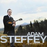 Adam Steffey, New Primitive