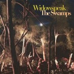 Widowspeak, The Swamps mp3