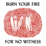 Angel Olsen, Burn Your Fire For No Witness mp3