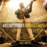 Joe Louis Walker, Hornet's Nest