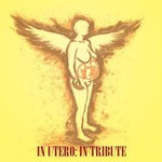 Various Artists, In Utero: In Tribute mp3
