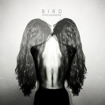 Bird, My Fear and Me