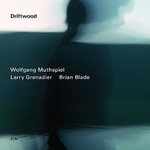 Wolfgang Muthspiel, Larry Grenadier & Brian Blade, Driftwood mp3