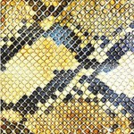 The Amazing Snakeheads, Amphetamine Ballads mp3