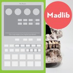 Madlib, The Beats (Our Vinyl Weighs a Ton Soundtrack) mp3