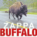 Frank Zappa, Buffalo