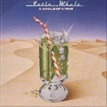 Satin Whale, A Whale Of A Time mp3