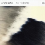 Avishai Cohen, Into the Silence mp3