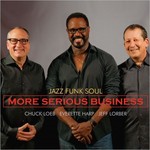 Jazz Funk Soul, More Serious Business mp3