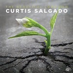 Curtis Salgado, The Beautiful Lowdown