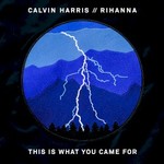Calvin Harris, This Is What You Came For (feat. Rihanna)
