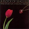A Flock of Seagulls, The Story of a Young Heart