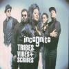 Incognito, Tribes, Vibes And Scribes
