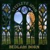 Steeleye Span, Bedlam Born