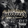 Hatebreed, The Rise Of Brutality