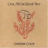 Graham Coxon, Crow Sit on Blood Tree