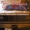 Gin Blossoms, New Miserable Experience