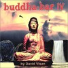 David Visan, Buddha-Bar IV