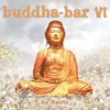 Ravin, Buddha-Bar VI