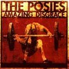 The Posies, Amazing Disgrace