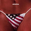 The Black Crowes, Amorica