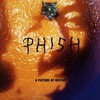 Phish, A Picture of Nectar