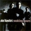 Del Amitri, Waking Hours