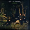 Echo & The Bunnymen, Evergreen