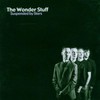 The Wonder Stuff, Suspended by Stars