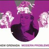 New Grenada, Modern Problems