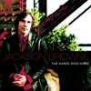 Jackson Browne, The Naked Ride Home