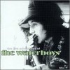 The Waterboys, The Live Adventures of the Waterboys