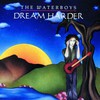 The Waterboys, Dream Harder
