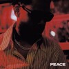 Terrace Martin, Peace