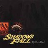 Shadows Fall, Of One Blood