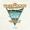 The Sheepdogs, Keep Out Of The Storm