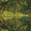 Band of Horses, Everything All The Time (20th Anniversary Edition)