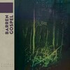 Caldon Glover, The Barren Gospel