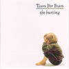 Tears for Fears, The Hurting
